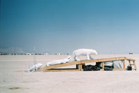 Intelligent Design by wizzard for burning man 2006