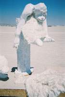 Intelligent Design by wizzard for burning man 2006